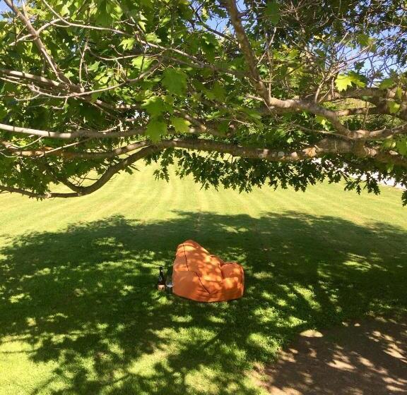 اتاق لوکس, Three Thirty B & B