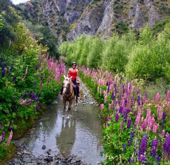 اتاق لوکس, Three Thirty B & B