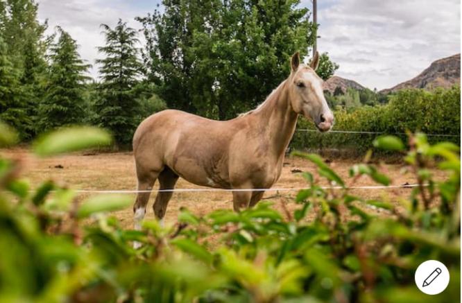 آپارتمان 1 خوابه, Three Thirty B & B