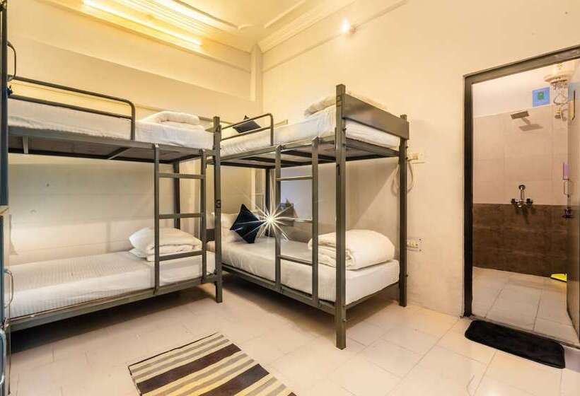 سرير فى غرفة مشتركه, Zostel Pushkar