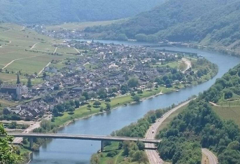 Номер Стандарт Адаптированный для Инвалидов, Pension Susanne