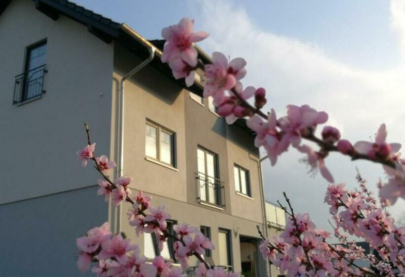 Номер Стандарт Адаптированный для Инвалидов, Pension Susanne