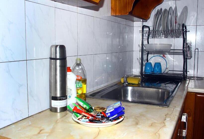 جناح إدارى, Stadium