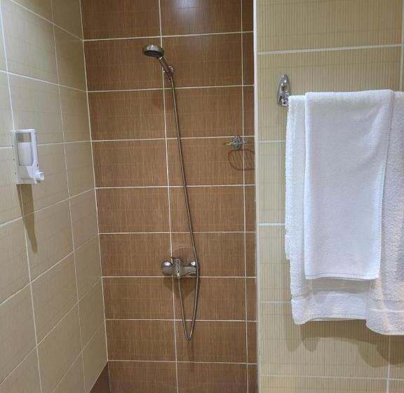 اتاق استاندارد یک نفره, Sumgait Olimpik Sportcomplex