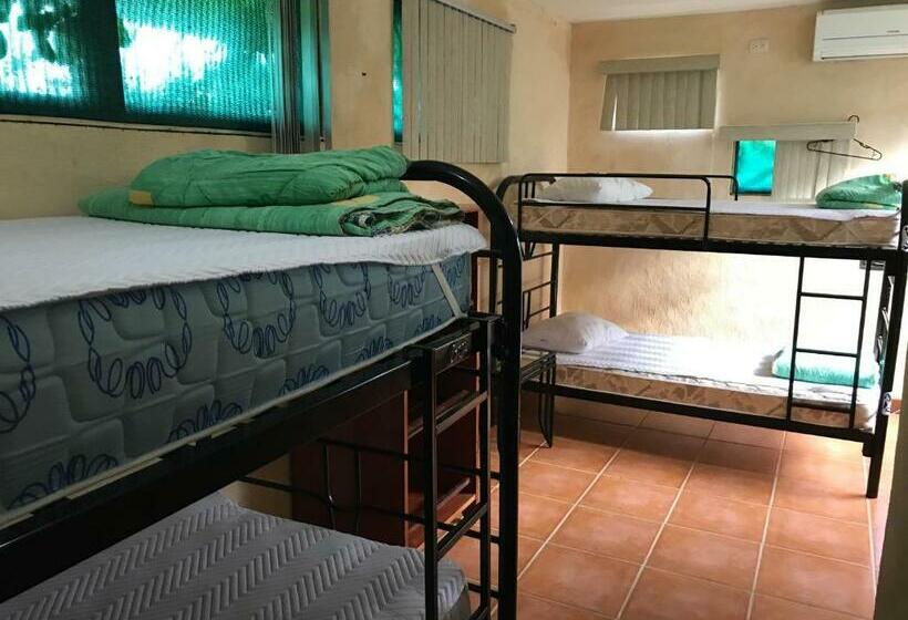 تختخواب در اتاق مشترک, La Palapa Hut Nature Hostel