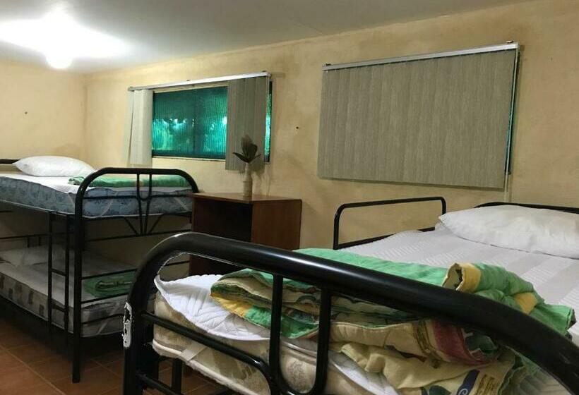 تختخواب در اتاق مشترک, La Palapa Hut Nature Hostel