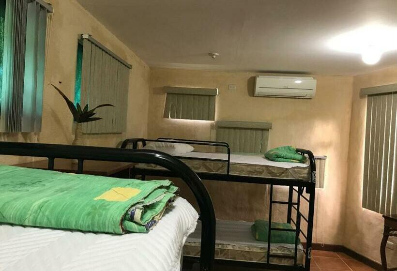 تختخواب در اتاق مشترک, La Palapa Hut Nature Hostel