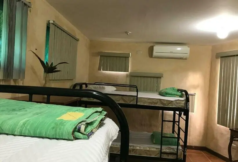 تختخواب در اتاق مشترک, La Palapa Hut Nature Hostel