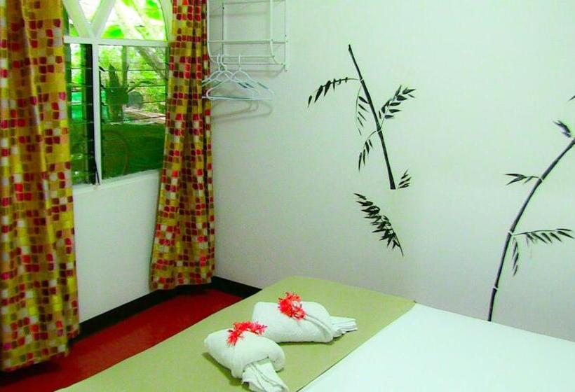 اتاق لوکس, La Palapa Hut Nature Hostel