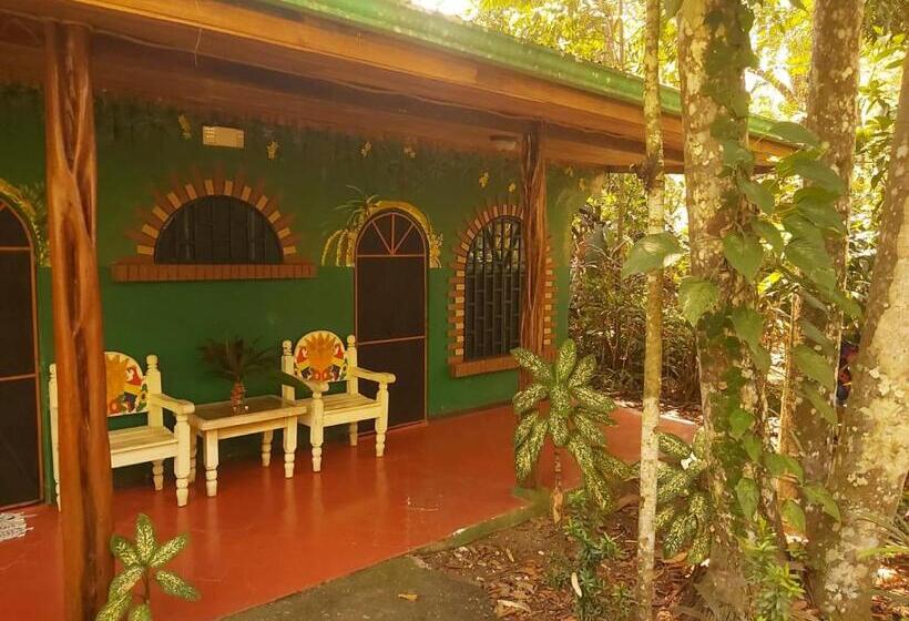 اتاق سوپریور, La Palapa Hut Nature Hostel