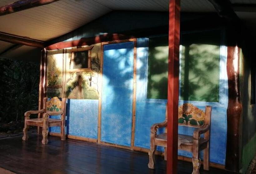 بانگلوی استاندارد, La Palapa Hut Nature Hostel