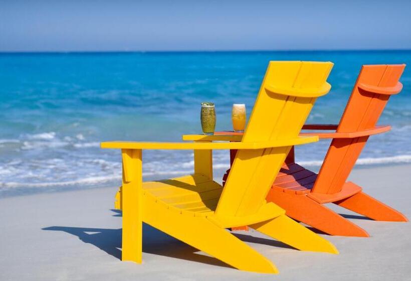 اتاق پرمیوم, Al Alamein