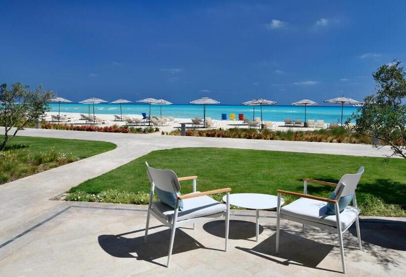 سوییت, Al Alamein