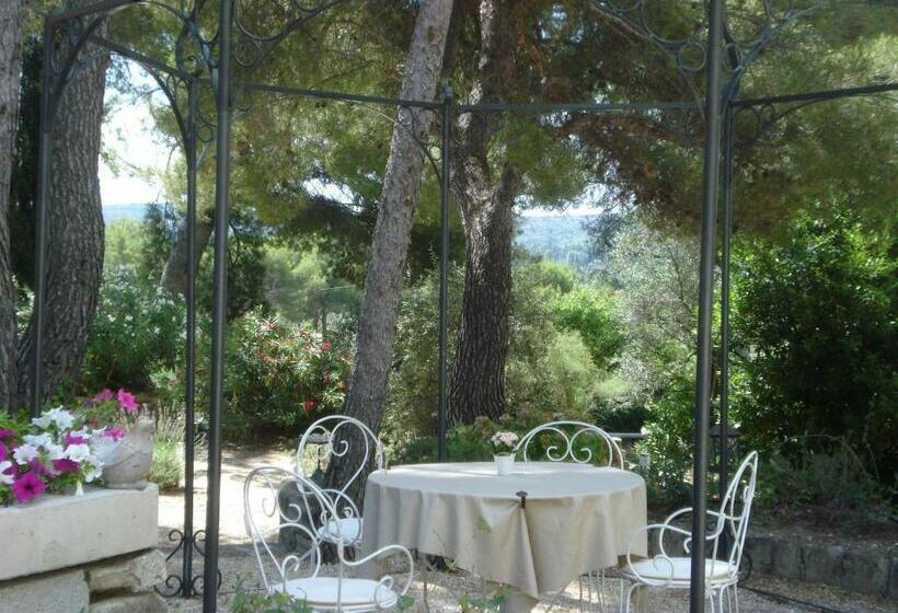 スタンダードルーム, Lou Ventoulet