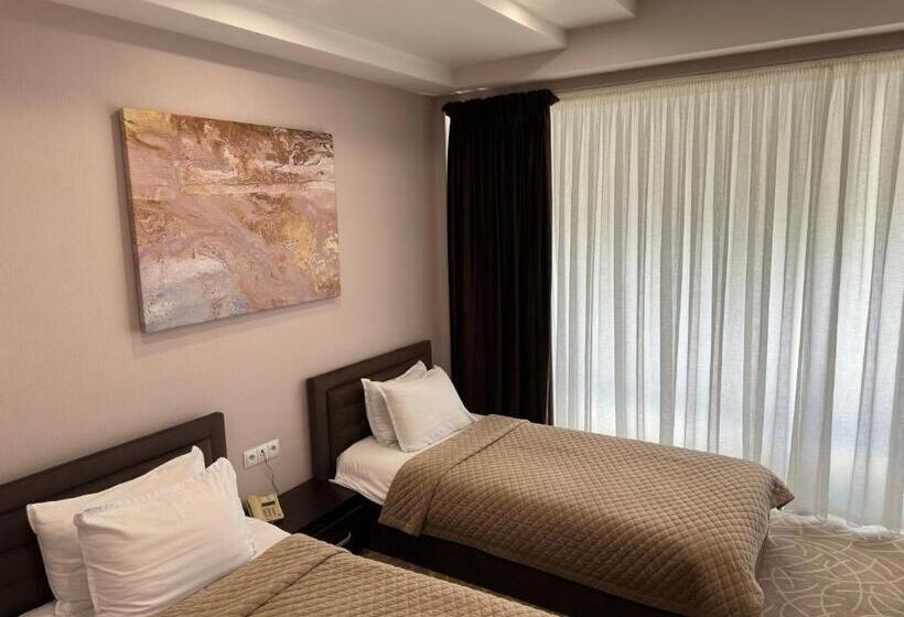 غرفة قياسية, Astor