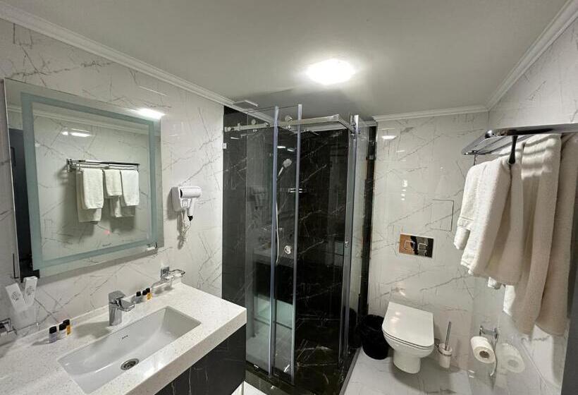 غرفة قياسية, Astor