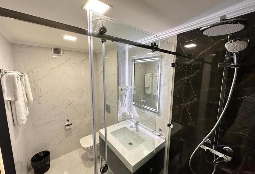 غرفة قياسية, Astor