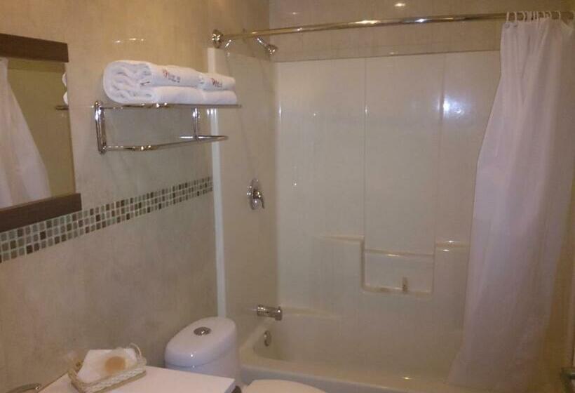 Номер Стандарт 2 Двуспальные Кровати, Oliver Inn Business Class