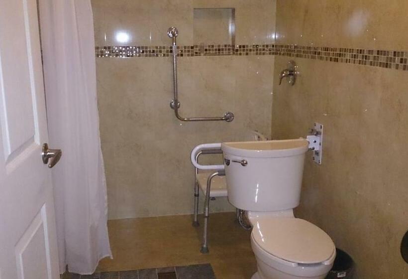 Номер Стандарт 2 Двуспальные Кровати, Oliver Inn Business Class