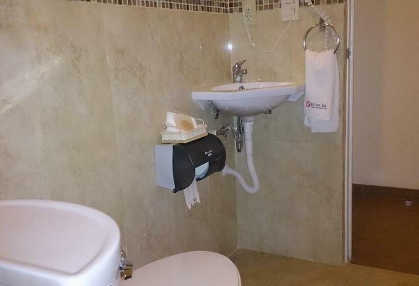 Номер Стандарт 2 Двуспальные Кровати, Oliver Inn Business Class