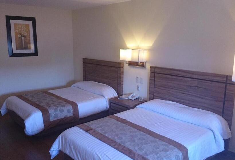 Quarto Estandar 2 Camas Casal, Oliver Inn   Business Class
