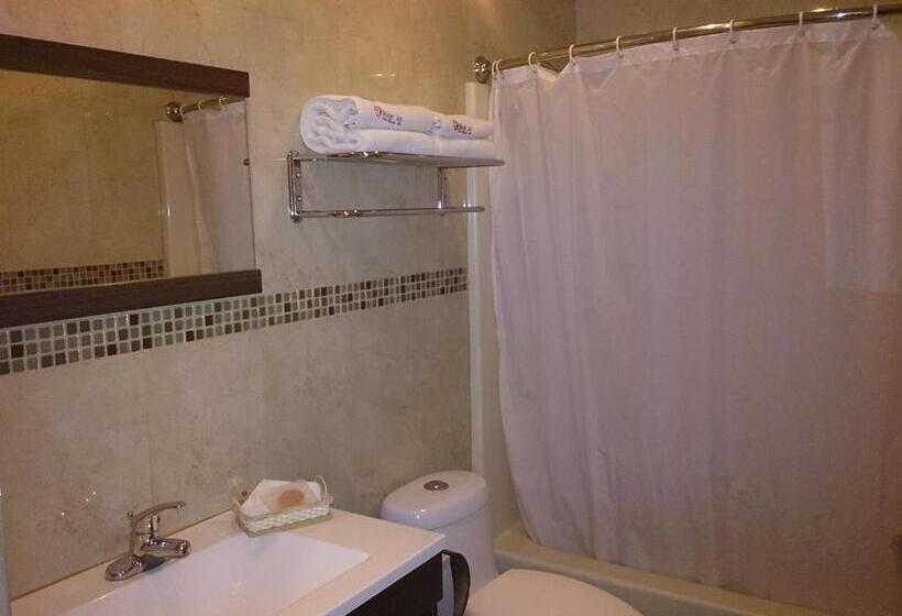 Номер Стандарт 2 Двуспальные Кровати, Oliver Inn Business Class