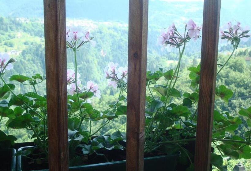 חדר סטנדרט לארבעה, B&b Val Maschi