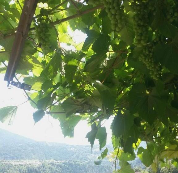 חדר דופלקס, B&b Val Maschi