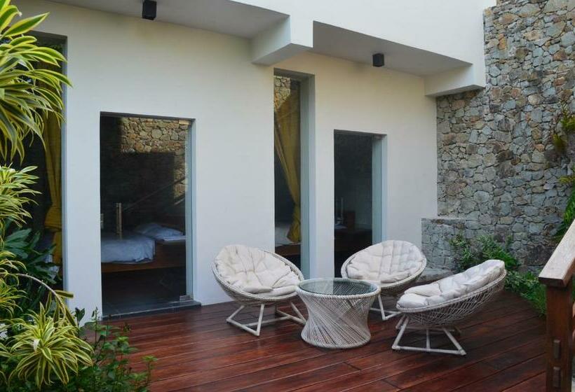 スタンダードルーム, Blue Parrot