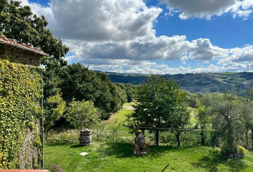 スタンダードルーム, Campo Della Corte