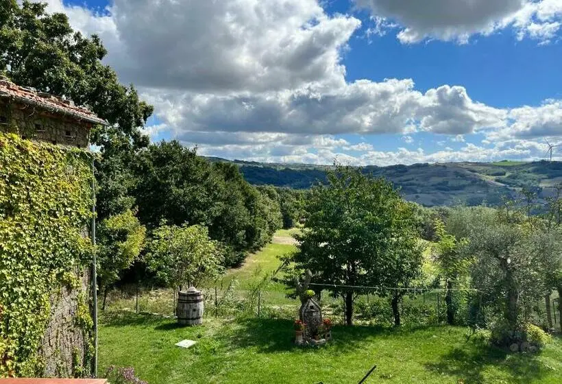 スタンダードルーム, Campo Della Corte