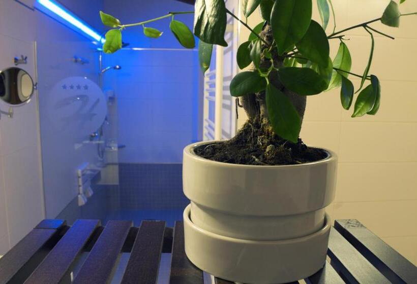 غرفة سوبيريور, Boutique Hotel E Spa Città Bianca