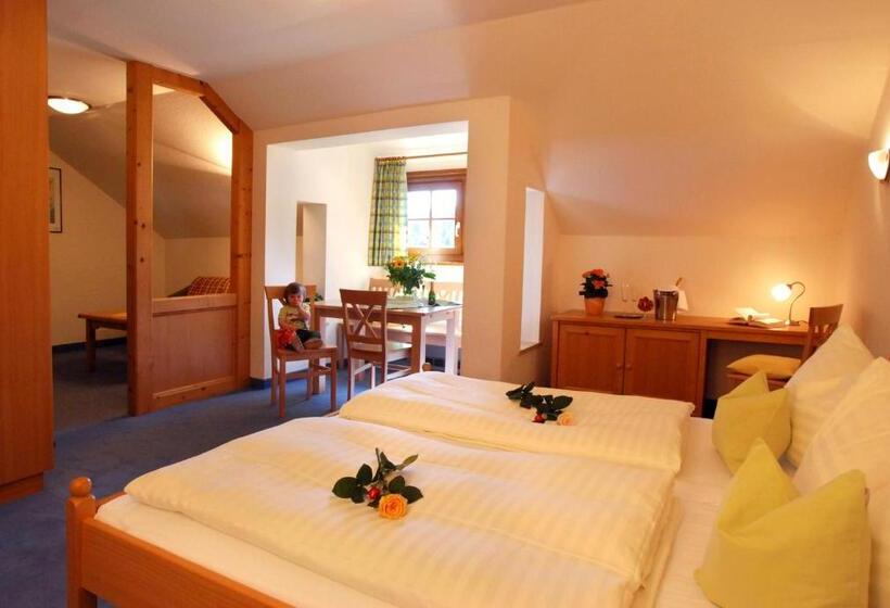 חדר סטודיו סטנדרד, Dachstein West Hotel Gmbh Kirchenwirt Russbach