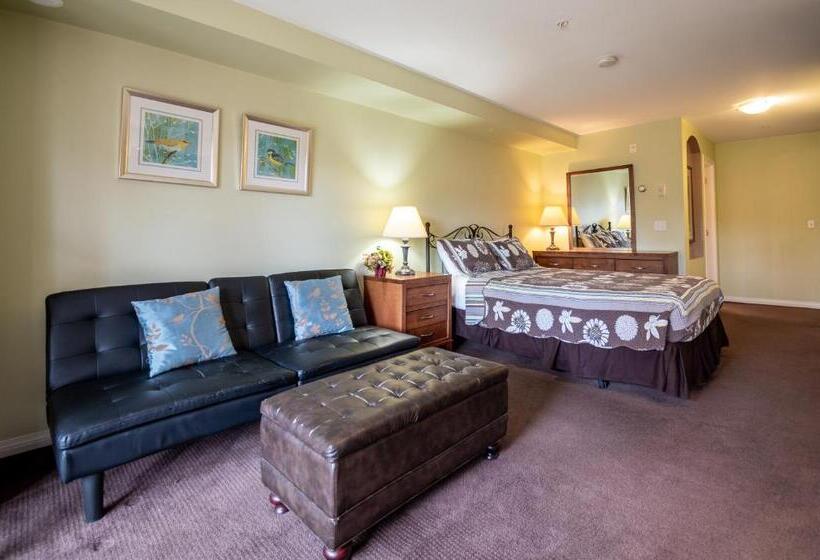 חדר סטודיו סטנדרד, Borgata Lodge Resort