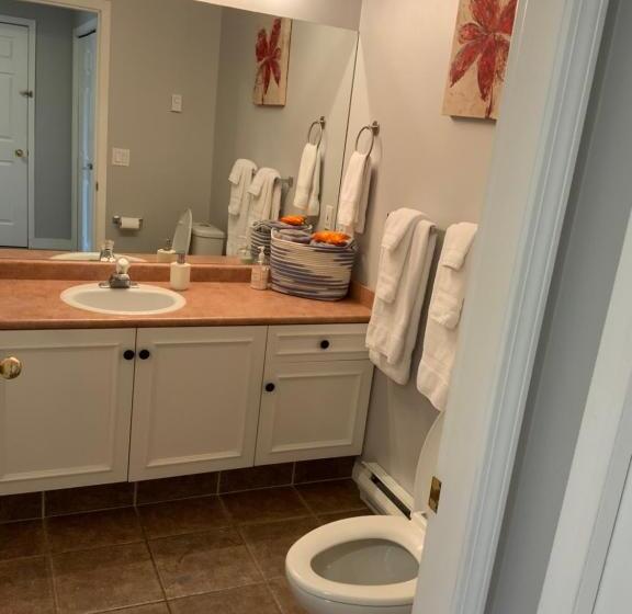 סטודיו סטנדרט עם מרפסת, Borgata Lodge Resort