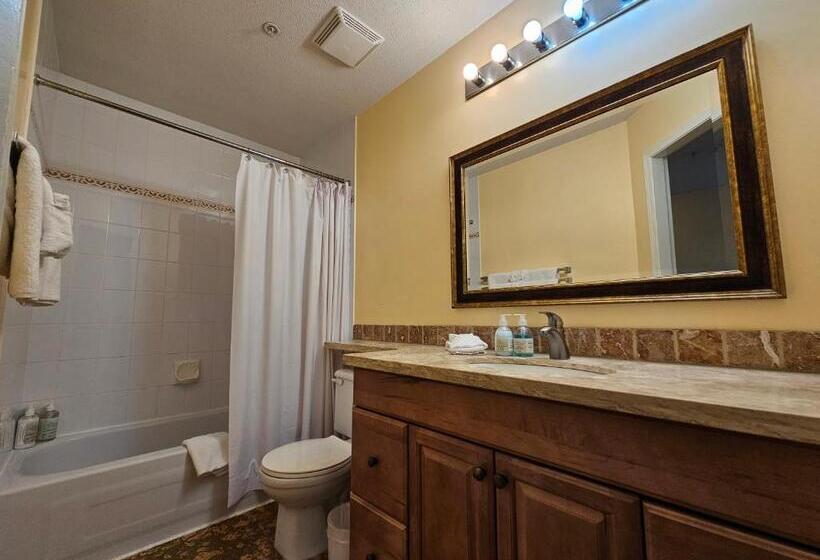 １ベッドルームアパートメント, Borgata Lodge Resort