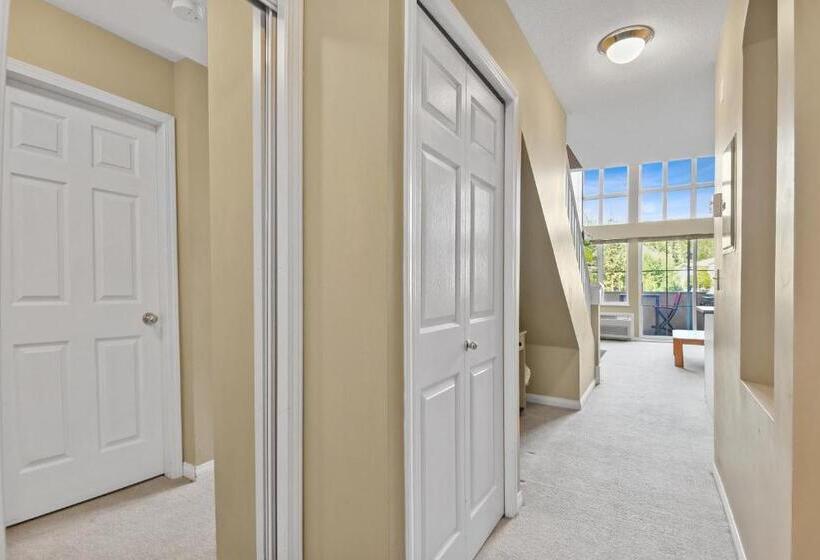 דירה קלאסית חדר שינה אחד, Borgata Lodge Resort