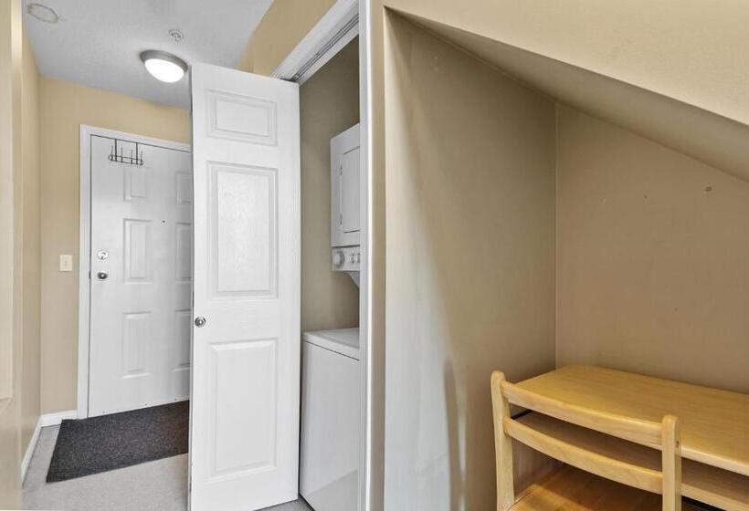 דירה קלאסית חדר שינה אחד, Borgata Lodge Resort