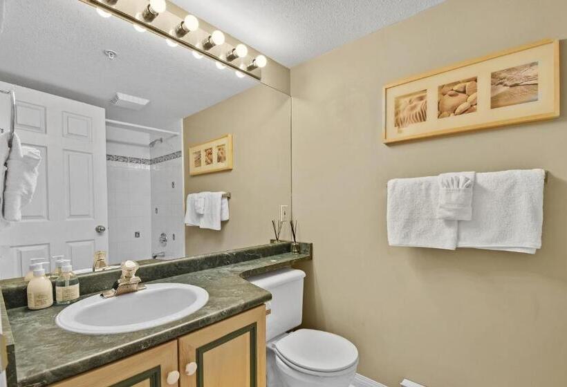 １ベッドルームアパートメント, Borgata Lodge Resort