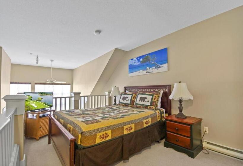 דירה קלאסית חדר שינה אחד, Borgata Lodge Resort