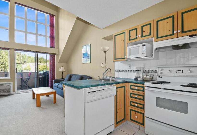 דירה קלאסית חדר שינה אחד, Borgata Lodge Resort