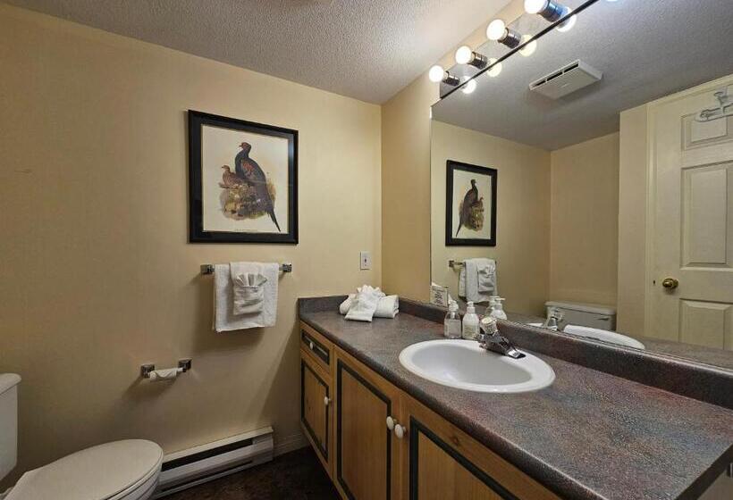 חדר סטודיו סטנדרד, Borgata Lodge Resort