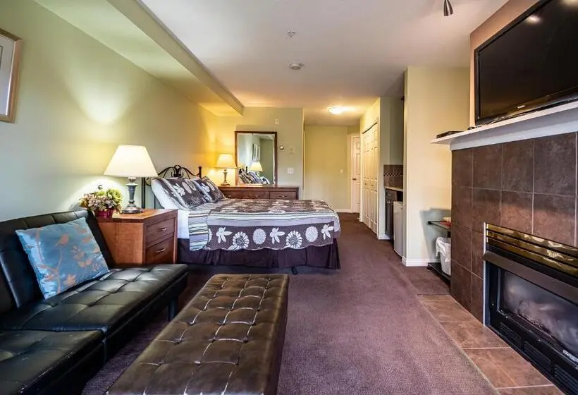 Standard-studio Parveke, Borgata Lodge Resort
