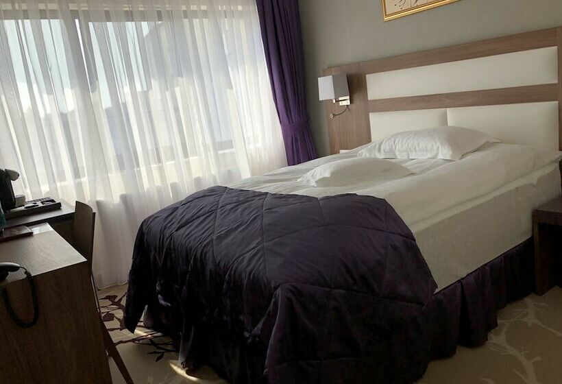 싱글 디럭스 룸, New Belvedere