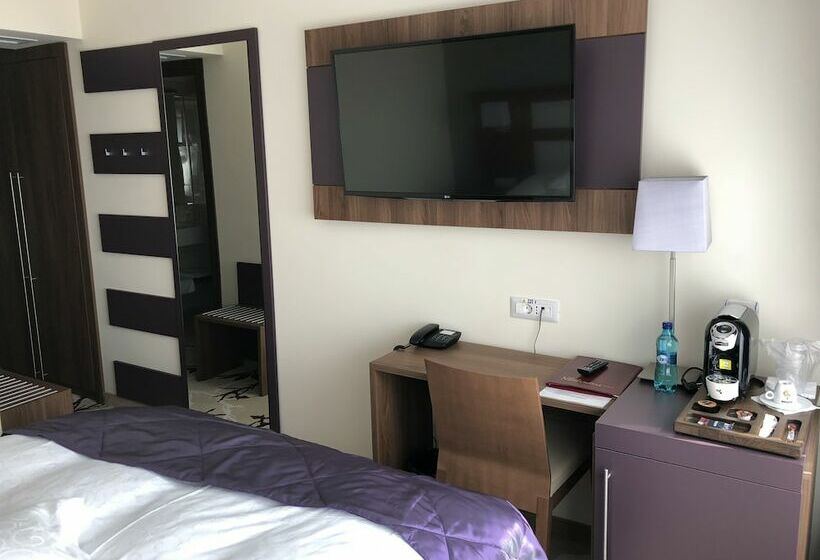 싱글 디럭스 룸, New Belvedere