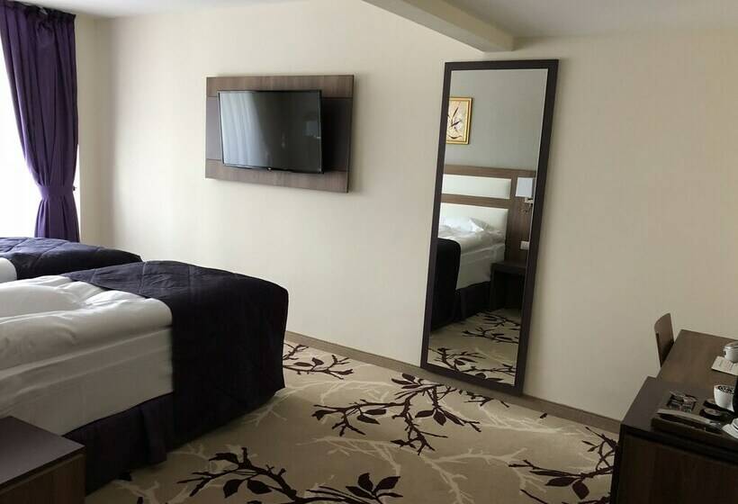 싱글 디럭스 룸, New Belvedere