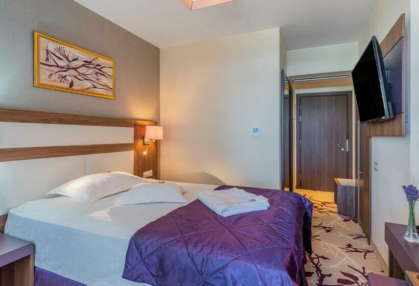 스탠다드 싱글 룸 바다 전망, New Belvedere