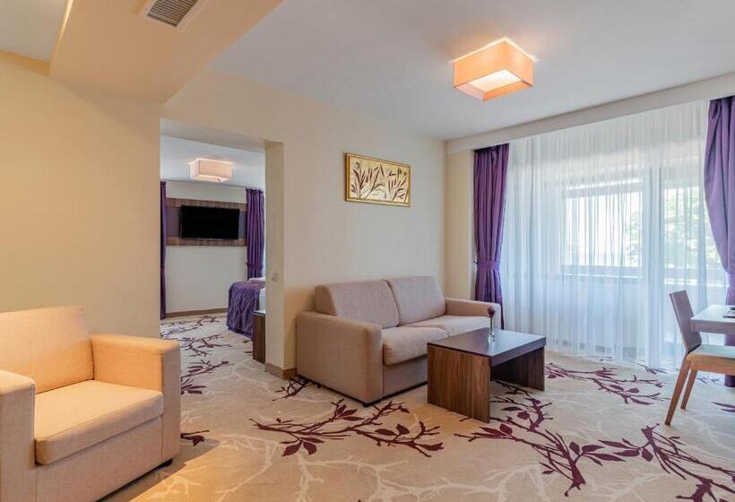 침실 2개 스위트, New Belvedere