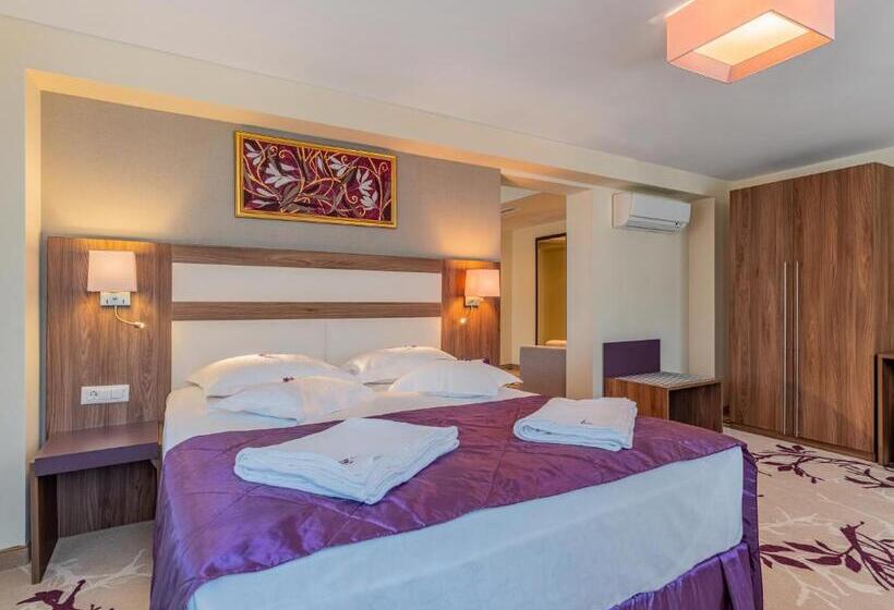 침실 2개 스위트, New Belvedere