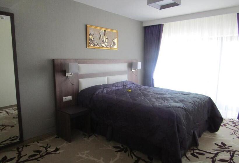 스탠다드 싱글 룸 도시 전망, New Belvedere